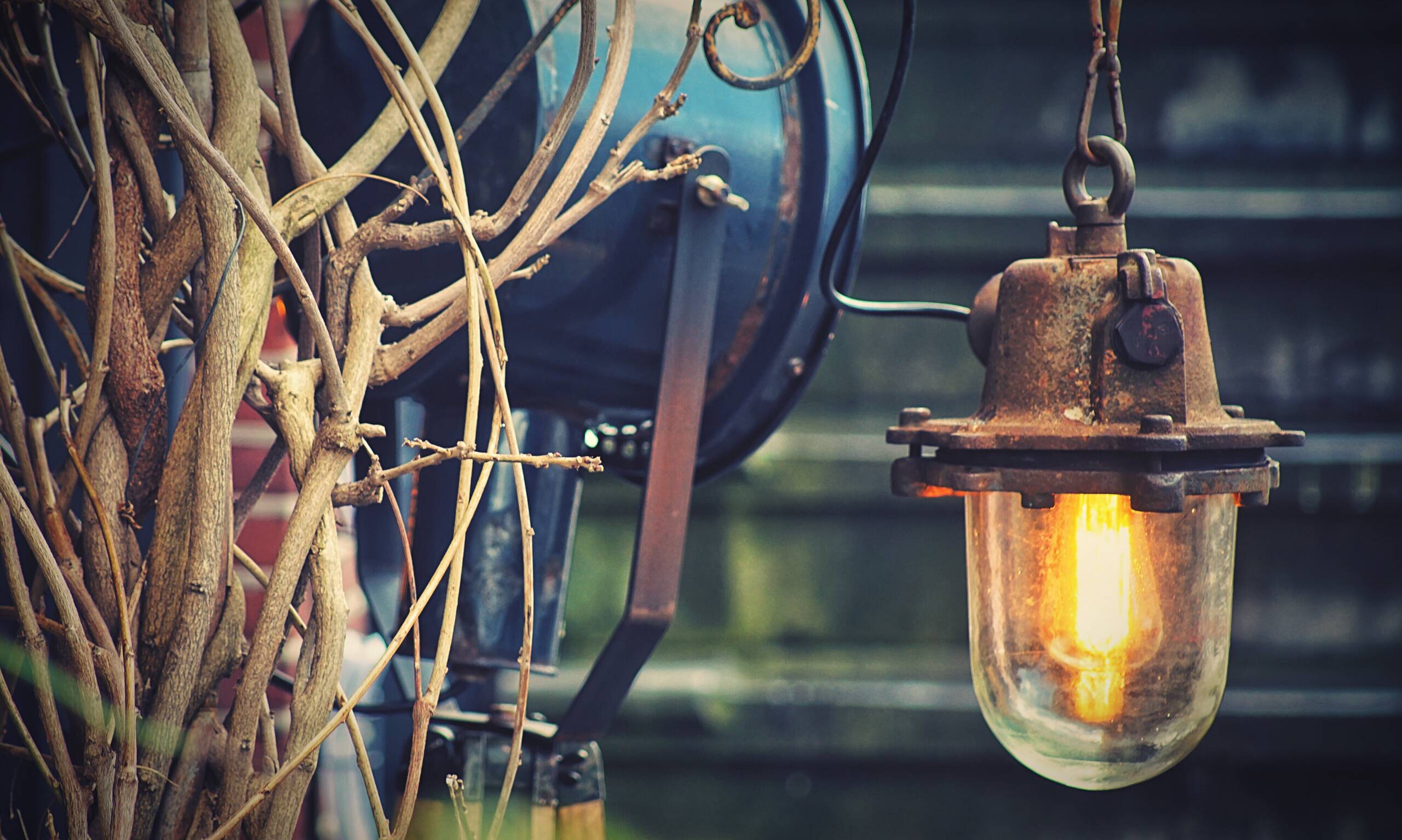 Lampade led per l'agricoltura