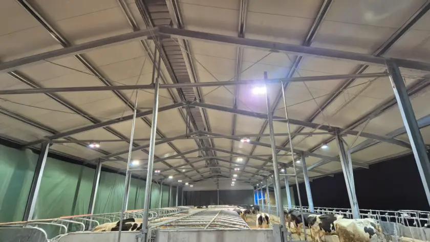 Cinque buoni motivi per scegliere un proiettore industriale led made in Italy