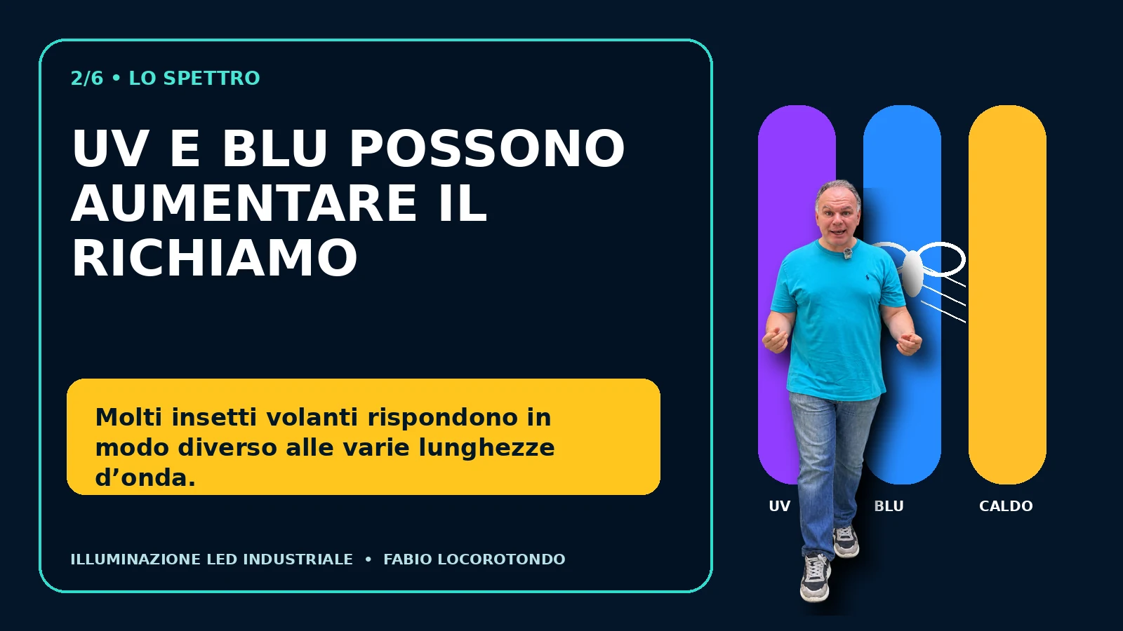 Spettro UV blu e caldo nel richiamo degli insetti